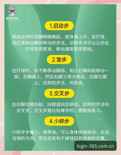 365体育官网官方版安装教程：新手必备实用技巧与常见问题解答